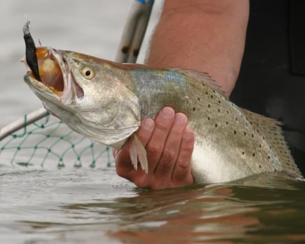 Bay Fishing