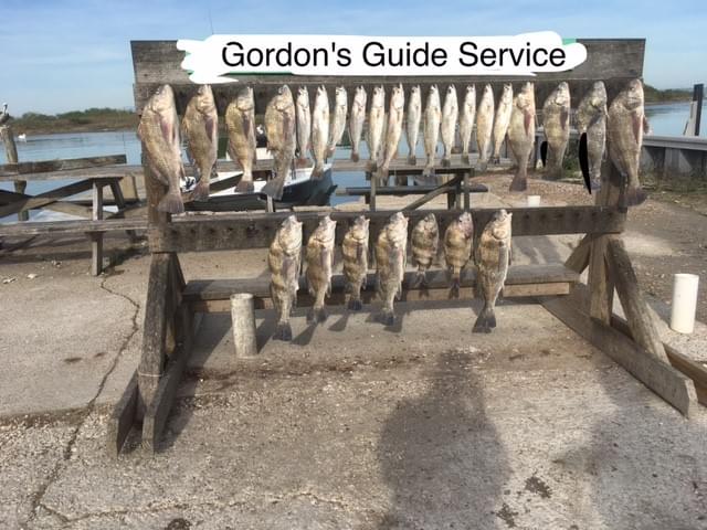 Bay Fishing
