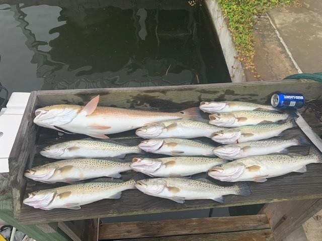 Bay Fishing
