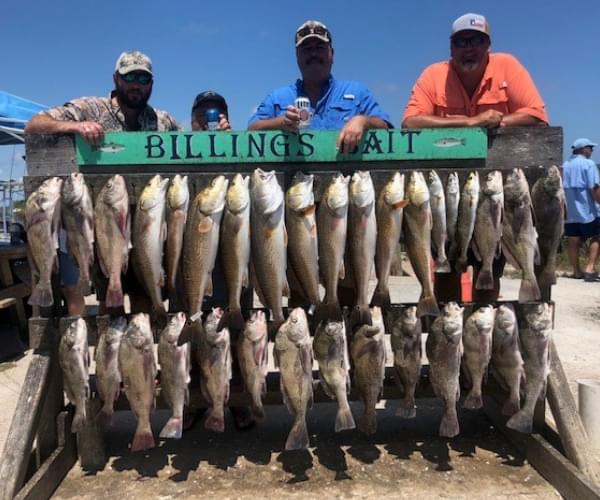 Bay Fishing